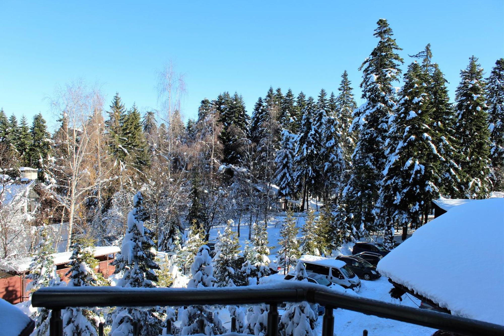 Pm Services Flora Apartments Borovets Exterior photo
