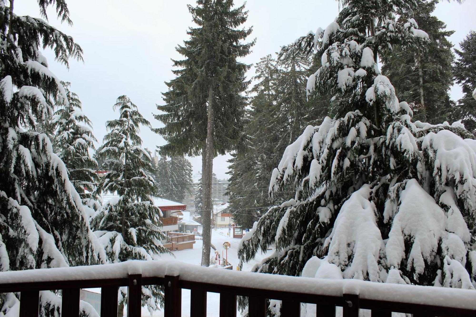Pm Services Flora Apartments Borovets Room photo